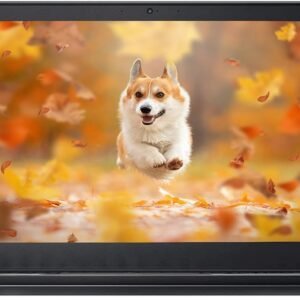 Lenovo ThinkPad T470s Business Laptop, Intel Core i5-7300U, 8 GB DDR4 RAM, 256 GB SSD, Wi-Fi, Bluetooth, Windows 10 Pro 64-Bit, Black (Renewed)